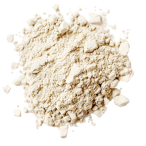 Cebolla