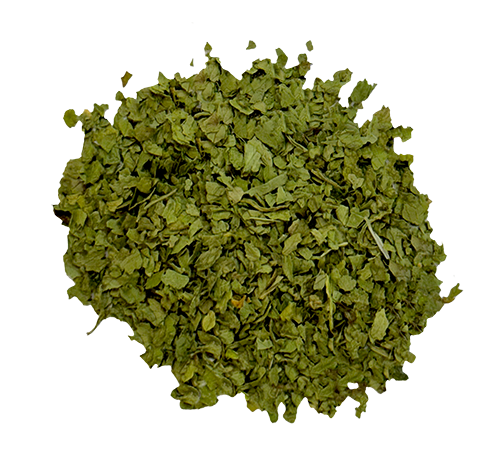 Cilantro