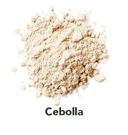 Cebolla